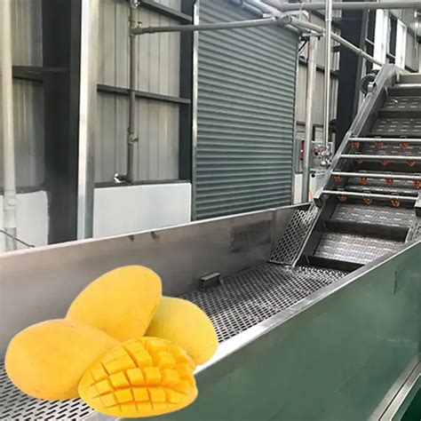 Fruit Sorting Machine Guide: Sourcing, Types, Applications, Benef.